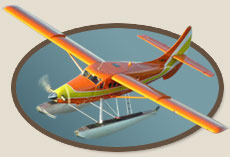 Fly in Aircraft