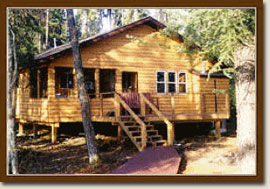 Blackstone fly in hunting and fishing cabin in Ontario