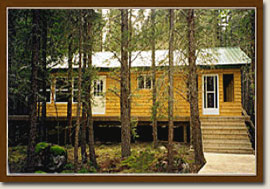 Fawcett fly in hunting and fishing cabin in Ontario