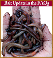 FAQS Pickerel Arms
