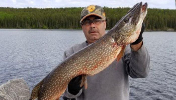 Aerofoil Lake Fishing