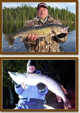 Walleye and pike fishing in Sioux Lookout, Ontario