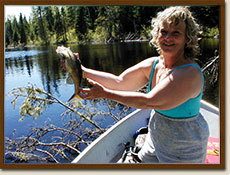 Walleye from Wapesi Lake and River
