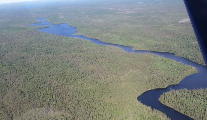 Moose Hunting Success in Northern Ontario, Canada